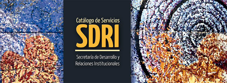 Banner_ServiciosSDRI